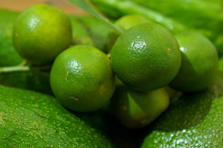 Guacamole verde fresco in ciotola, con lime e pellicola trasparente sopra per preservarne il colore.