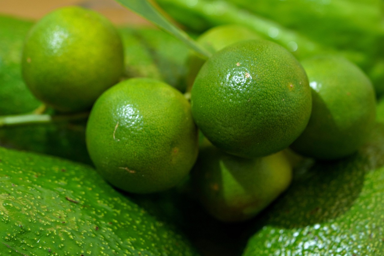 Guacamole verde fresco in ciotola, con lime e pellicola trasparente sopra per preservarne il colore.